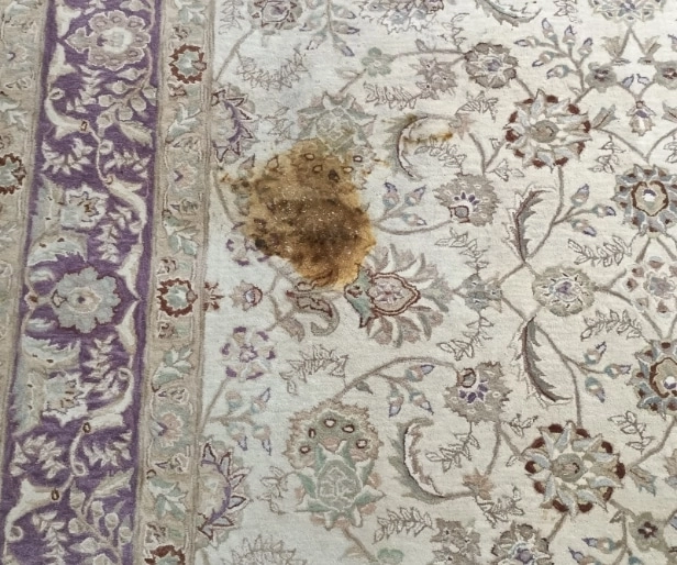 RugCleaningBefore3